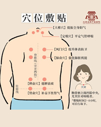 三伏贴开始预约啦~通经开穴再贴敷 三伏养阳不白做